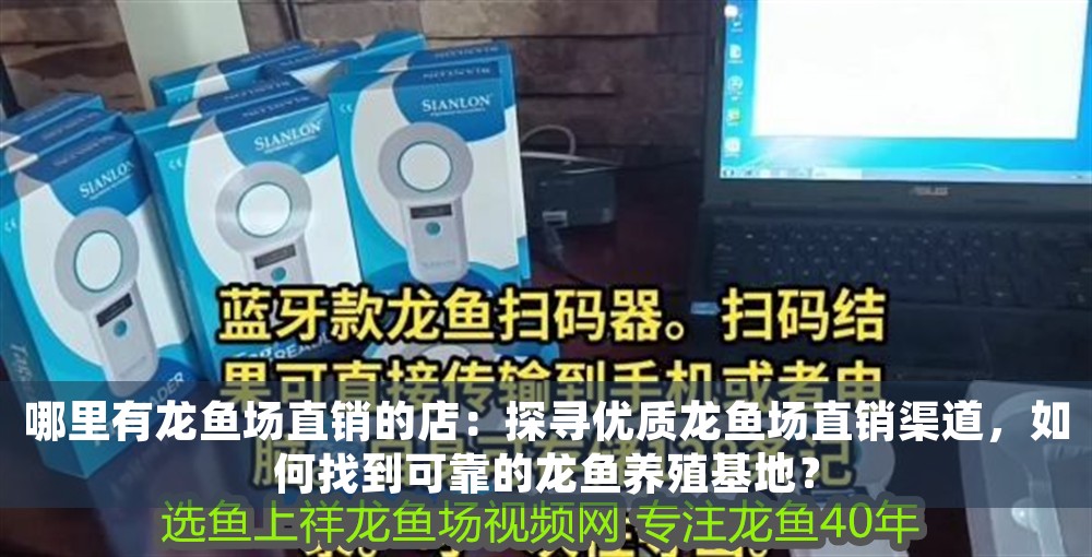 哪里有龍魚場(chǎng)直銷的店：探尋優(yōu)質(zhì)龍魚場(chǎng)直銷渠道，如何找到可靠的龍魚養(yǎng)殖基地？