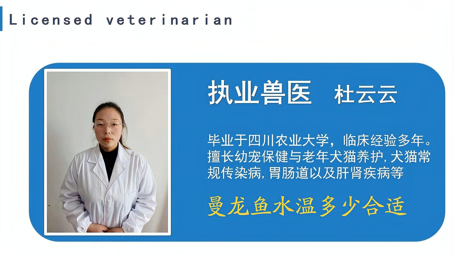曼龍魚在最佳溫度下有哪些表現？