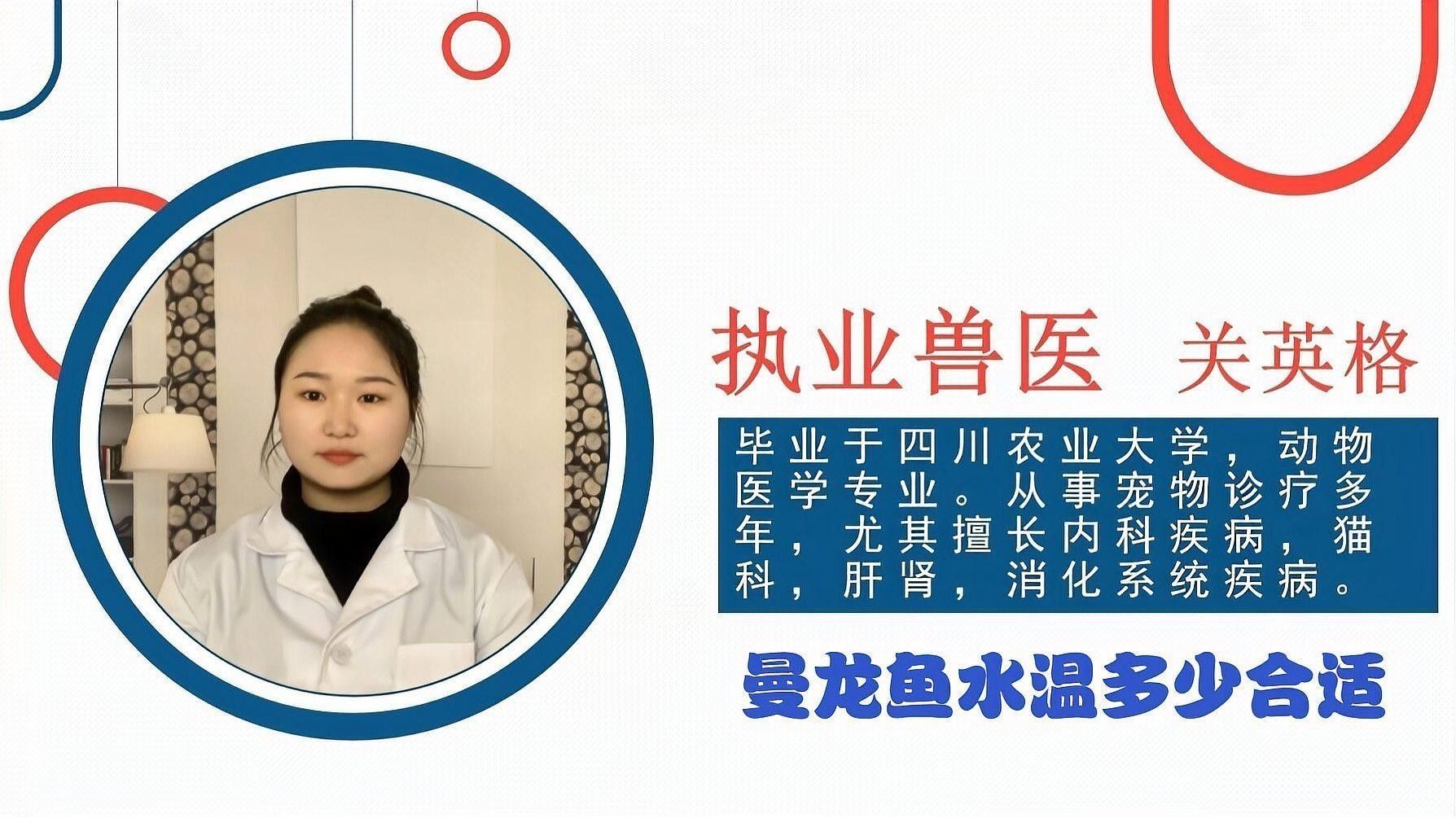 曼龍魚在最佳溫度下有哪些表現？