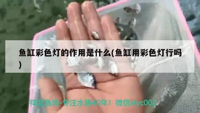 巨暴魚苗水溫調(diào)節(jié)常見誤區(qū)：關(guān)于巨暴魚苗水溫調(diào)節(jié)的常見誤區(qū)并沒有完全相關(guān)的直接答案