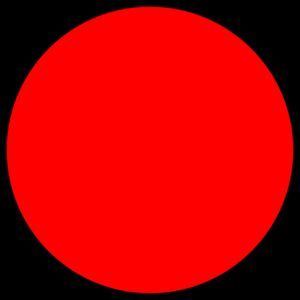 紅龍魚英文（紅龍魚的英文名字是什么？）