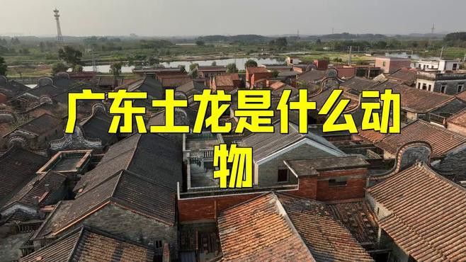 潮汕杜龍魚是什么魚？