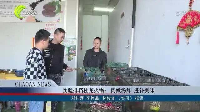 潮汕杜龍魚是什么魚？