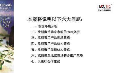 金龍魚營銷方案策劃（金龍魚電商渠道優(yōu)化）