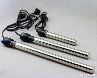 龍魚加熱棒多少溫度合適，龍魚冬季養殖技巧，熱帶魚最佳水溫范圍