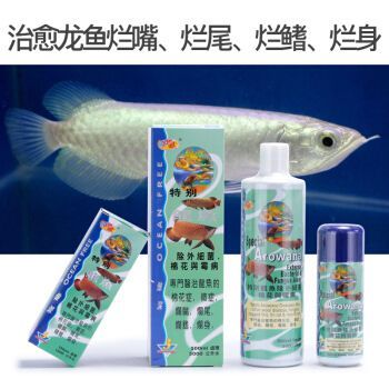 傲深0號龍魚疾病（傲深0號使用方法）