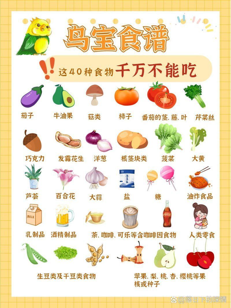 綠皮皇冠豹最忌三種食物