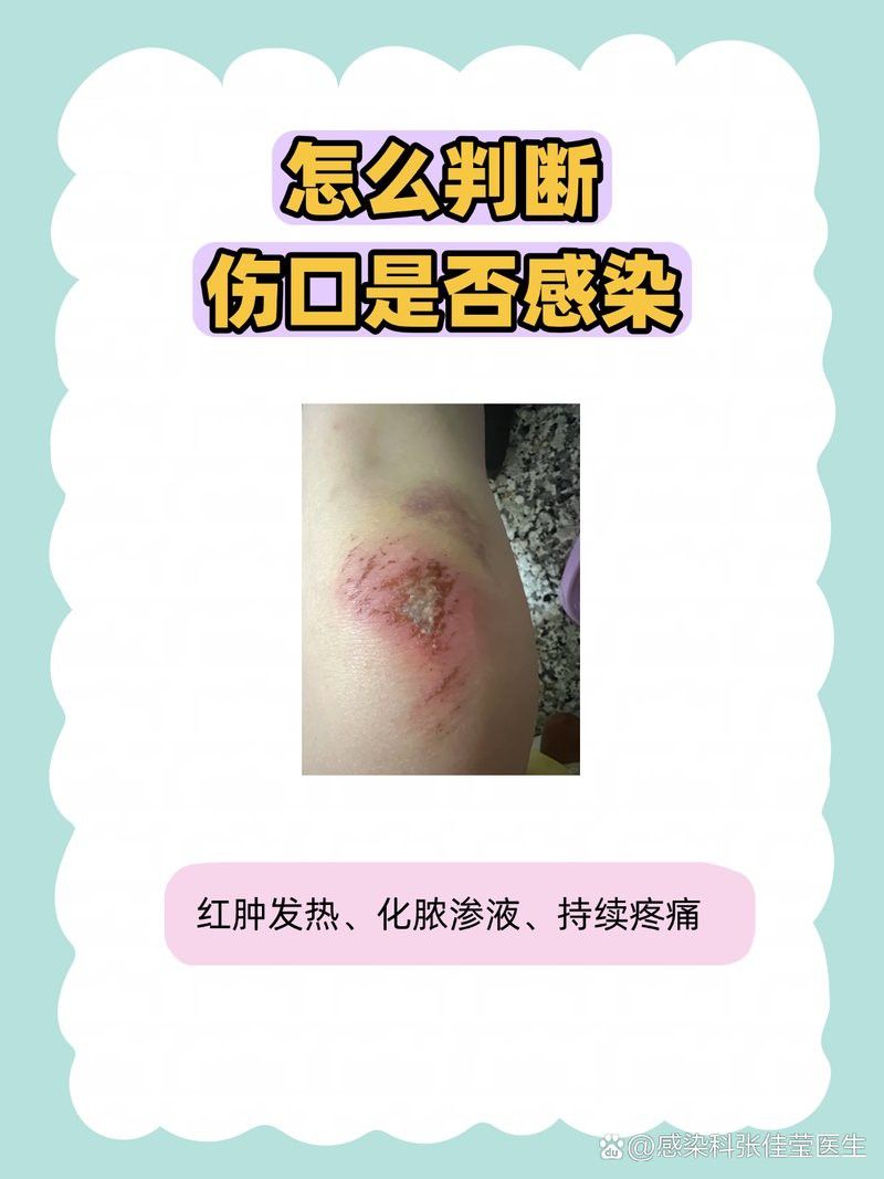 如何判斷六角龍魚的傷口是否感染？