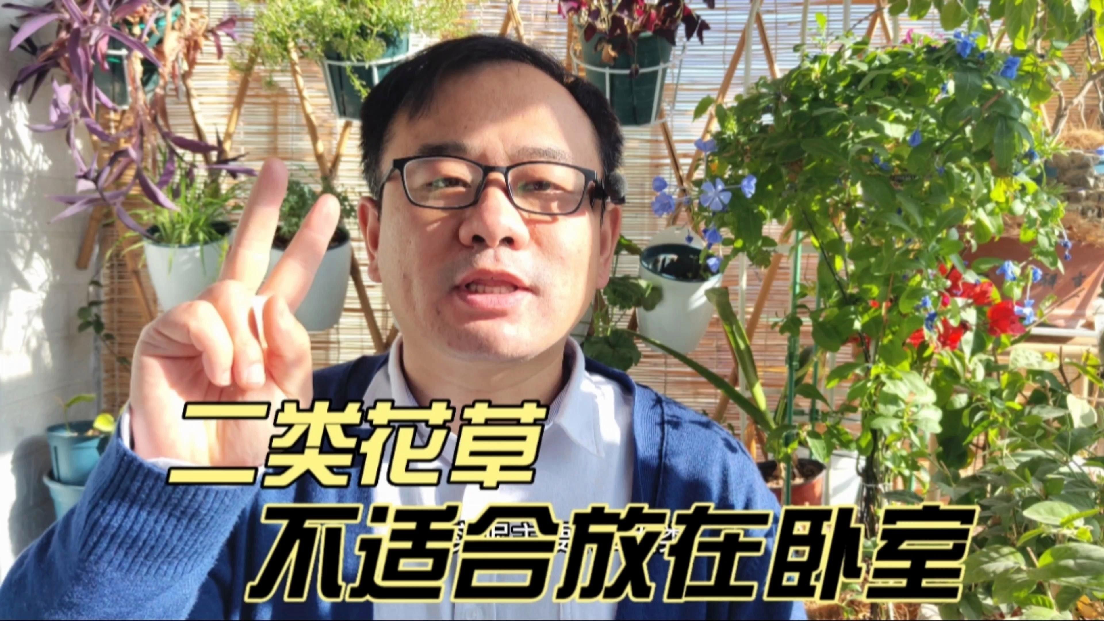 哪些植物不適合放在臥室？