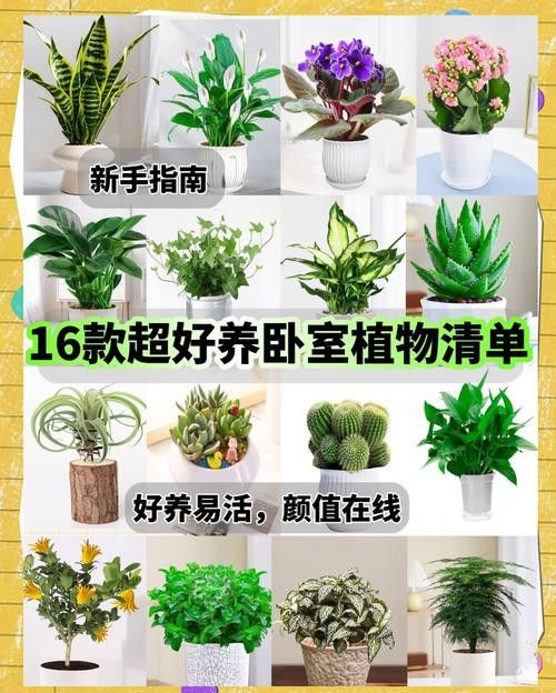 哪些植物不適合放在臥室？