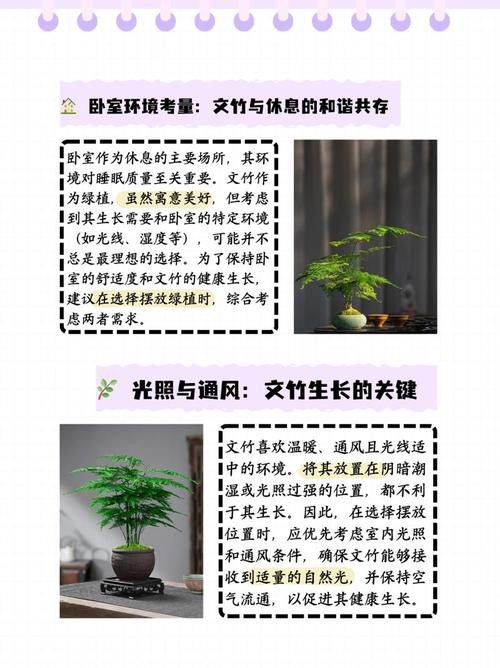 哪些植物不適合放在臥室？