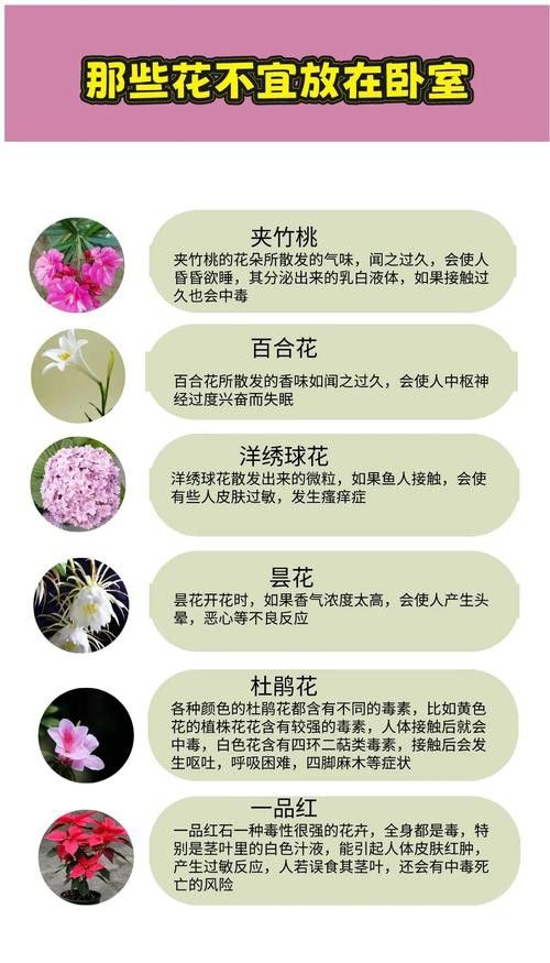 哪些植物不適合放在臥室？