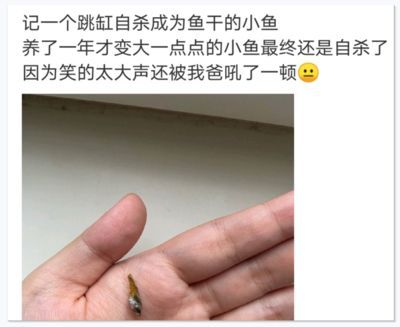 龍魚嘴尖發白爛了（龍魚嘴尖發白爛了怎么辦）