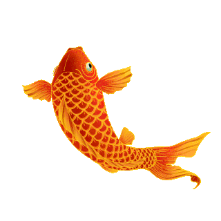 紅金龍魚動態壁紙下載（“紅金龍魚動態壁紙下載”金龍魚動態壁紙下載）