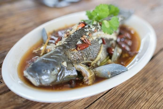 天山雪龍魚是淡水魚嗎圖片欣賞