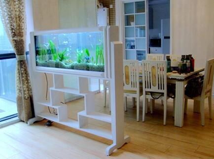 紅龍魚與金龍魚哪個好（紅龍魚與金龍魚哪個好養?）