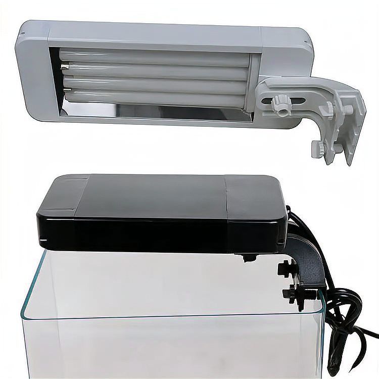 養(yǎng)紅龍魚需要哪些設備