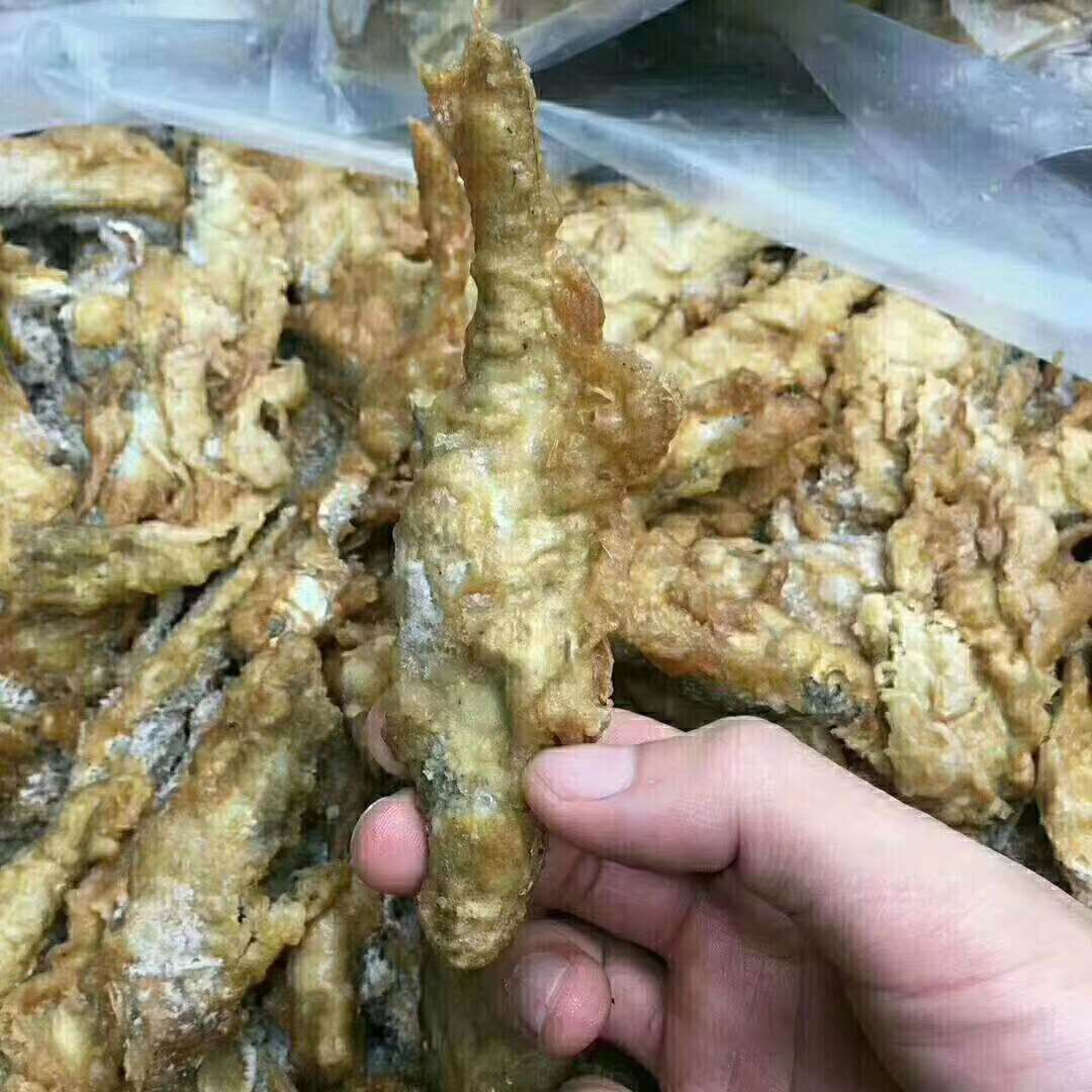 小龍魚批發的信息包括小龍魚的種類、供應商信息等：小龍魚批發價格 小龍魚批發的信息包括小龍魚的種類、供應商信息等：小龍魚批發價格 龍魚百科 第3張