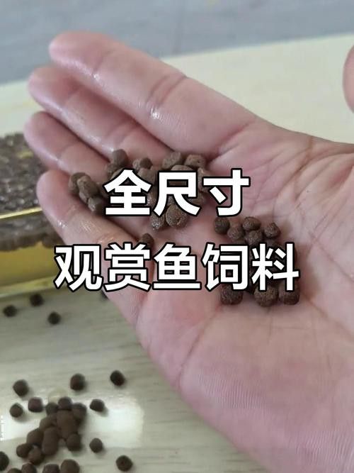 如何判斷金龍魚飼料是否過期？