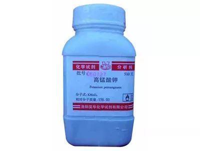 怎樣治療龍魚掉眼屎：龍魚掉眼屎怎么辦