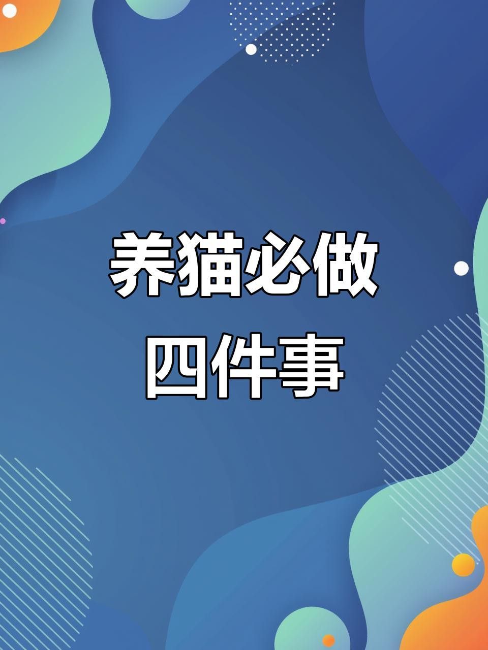 龍貓和貓哪個更親人？