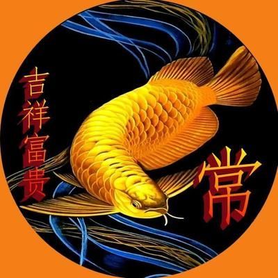 可以跟金龍魚混養的魚有哪些：金龍魚可以和什么魚混養