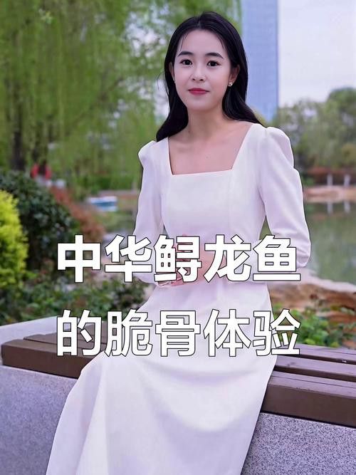 中華鱘龍魚的圖片我就不信了 龍魚百科 第25張 中華鱘龍魚的圖片我就不信了 中華鱘龍魚的圖片我就不信了 龍魚百科 第25張