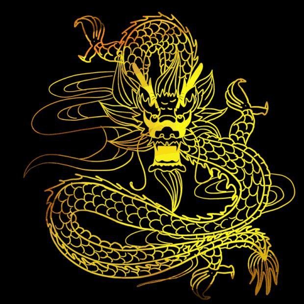 有沒有動(dòng)態(tài)GIF格式的霸氣龍？ 有沒有動(dòng)態(tài)GIF格式的霸氣龍？ 龍魚百科 第39張
