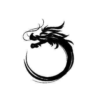 有沒有動(dòng)態(tài)GIF格式的霸氣龍？ 有沒有動(dòng)態(tài)GIF格式的霸氣龍？ 龍魚百科 第42張