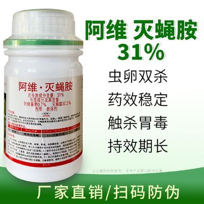 養龍魚需要備點什么藥：養龍魚常備藥物清單