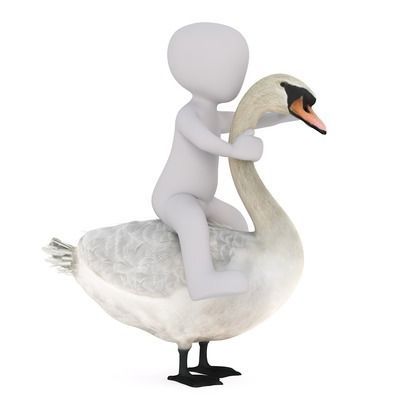 白子紅龍魚(yú)（關(guān)于白子紅龍魚(yú)的一些詳細(xì)信息）