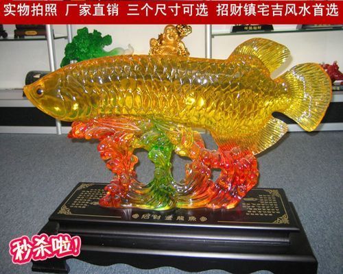 龍魚什么顏色招財：風水魚缸布局指南,紅龍魚品種介紹