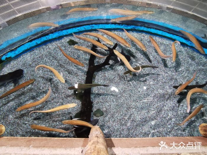 北京龍魚養殖基地地址查詢：北京龍魚養殖基地