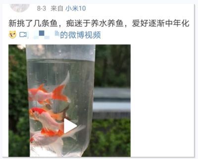 龍魚吃小魚又吐了怎么辦：當龍魚吃完小魚后又吐出來，可能是由于多種原因導致的