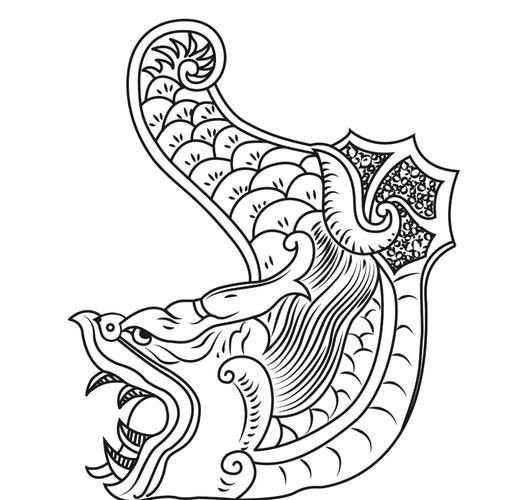 龍頭魚尾圖案有哪些變種形式? 龍魚百科 第14張 龍頭魚尾圖案有哪些變種形式? 龍頭魚尾圖案有哪些變種形式? 龍魚百科 第14張