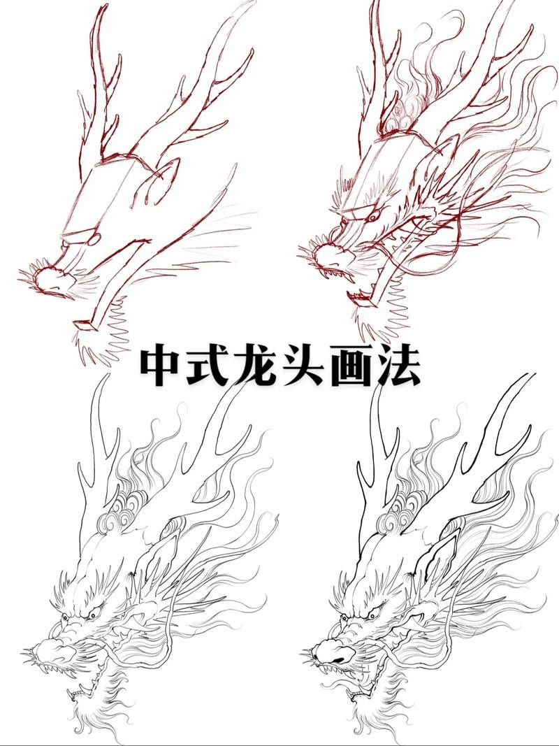 龍頭魚尾圖案有哪些變種形式? 龍魚百科 第11張 龍頭魚尾圖案有哪些變種形式? 龍頭魚尾圖案有哪些變種形式? 龍魚百科 第11張
