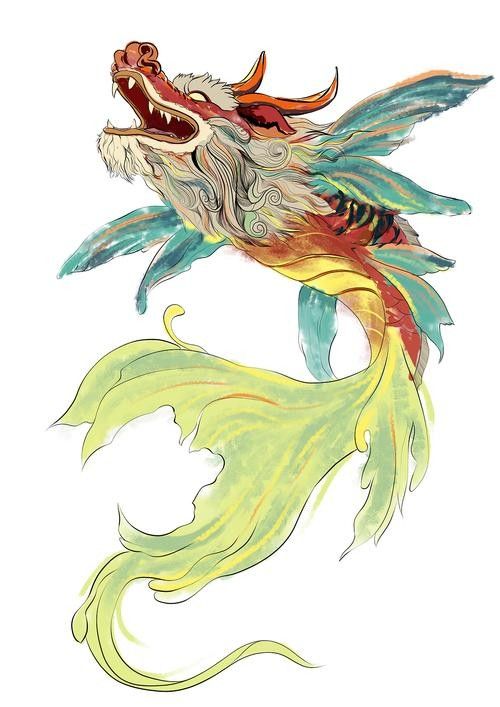 龍頭魚尾圖案有哪些變種形式? 龍魚百科 第16張 龍頭魚尾圖案有哪些變種形式? 龍頭魚尾圖案有哪些變種形式? 龍魚百科 第16張