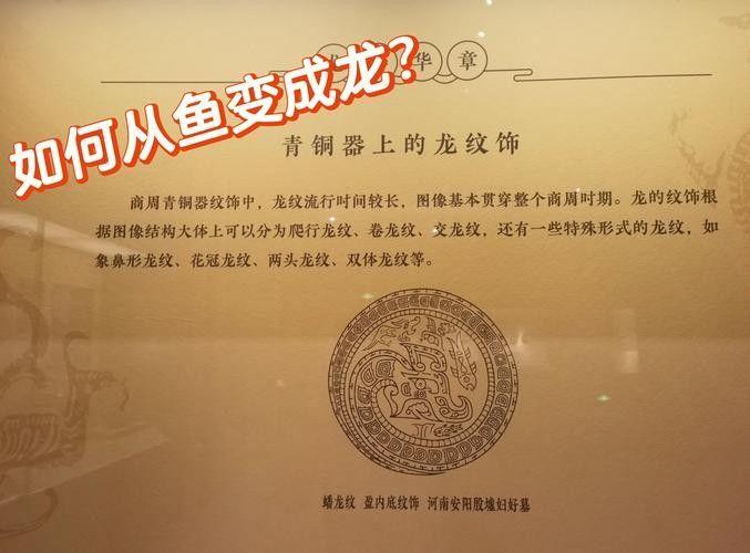 龍頭魚尾圖案有哪些變種形式? 龍魚百科 第27張 龍頭魚尾圖案有哪些變種形式? 龍頭魚尾圖案有哪些變種形式? 龍魚百科 第27張