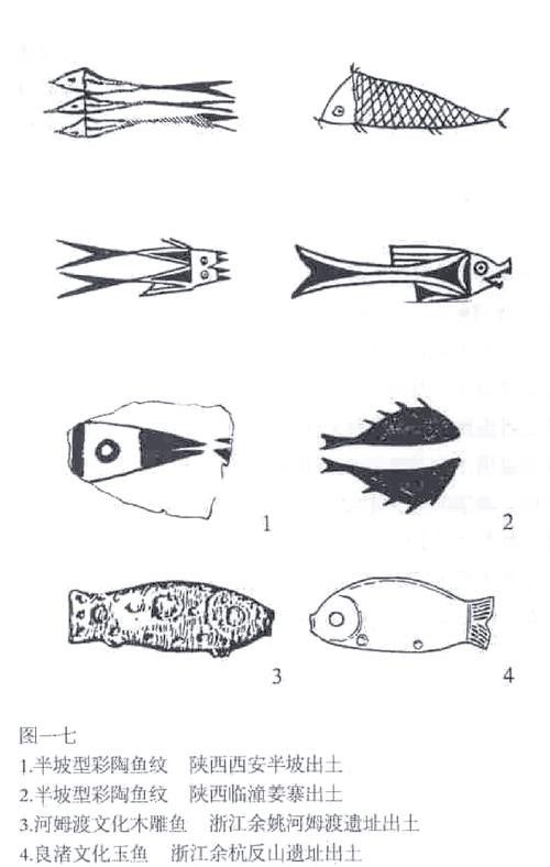 龍頭魚尾圖案有哪些變種形式? 龍魚百科 第26張 龍頭魚尾圖案有哪些變種形式? 龍頭魚尾圖案有哪些變種形式? 龍魚百科 第26張