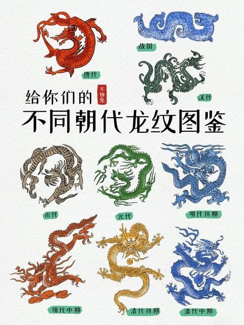 龍頭魚尾圖案有哪些變種形式? 龍魚百科 第33張 龍頭魚尾圖案有哪些變種形式? 龍頭魚尾圖案有哪些變種形式? 龍魚百科 第33張
