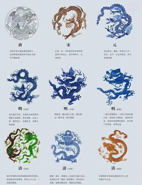 龍頭魚尾圖案有哪些變種形式? 龍魚百科 第42張 龍頭魚尾圖案有哪些變種形式? 龍頭魚尾圖案有哪些變種形式? 龍魚百科 第42張