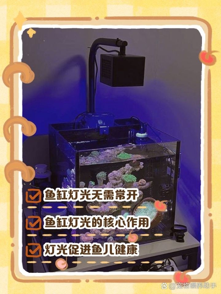 龍魚趴缸了開燈嗎