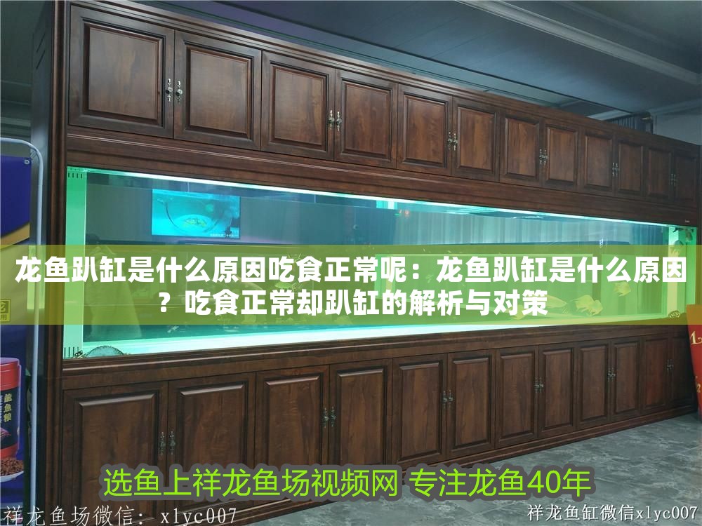 龍魚趴缸是什么原因吃食正常呢：龍魚趴缸是什么原因？吃食正常卻趴缸的解析與對策