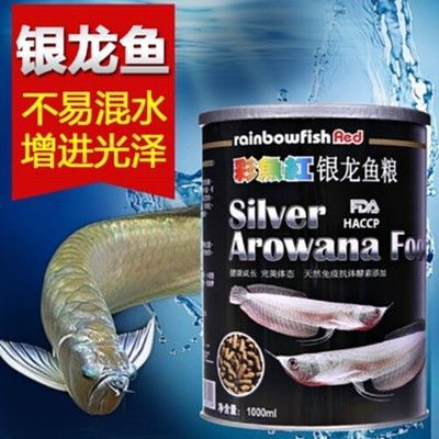 銀龍魚益生菌（銀龍魚益生菌對于維護銀龍魚健康具有重要作用）