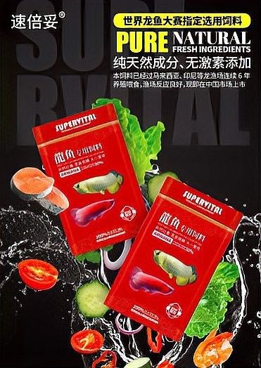 龍魚平時喂養什么飼料最好