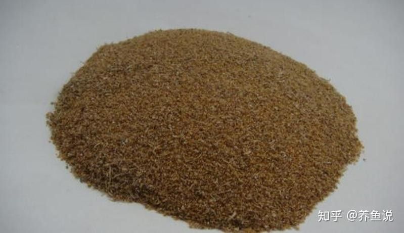 龍魚平時喂養什么飼料最好