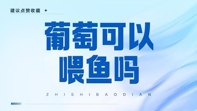 金龍魚能吃葡萄嗎怎么喂