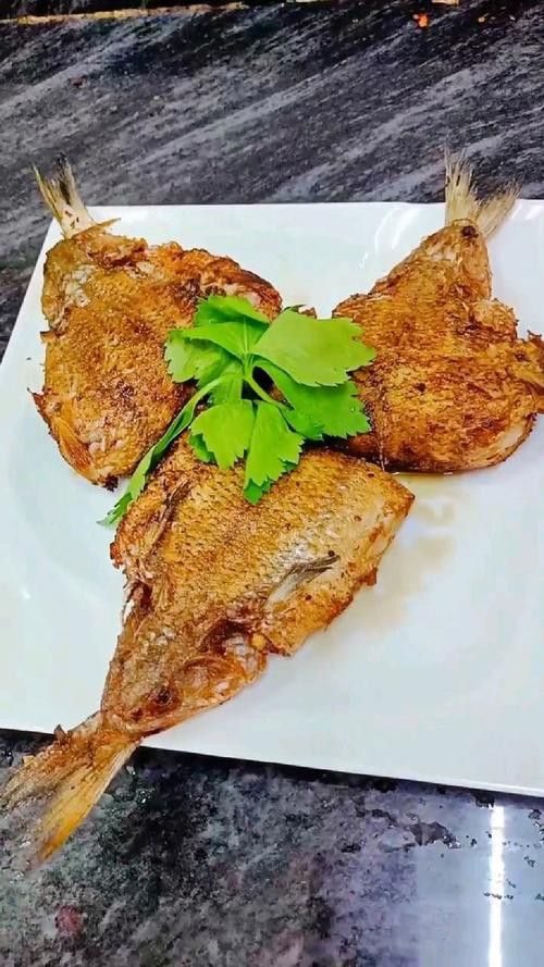 北海葵龍魚是什么魚種圖片