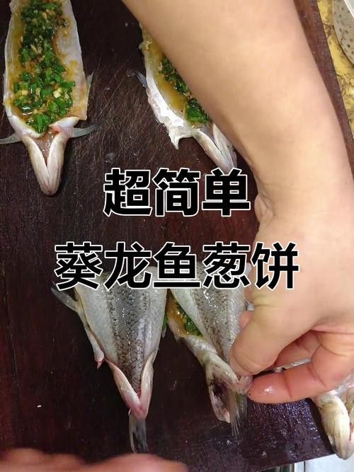 北海葵龍魚是什么魚種圖片