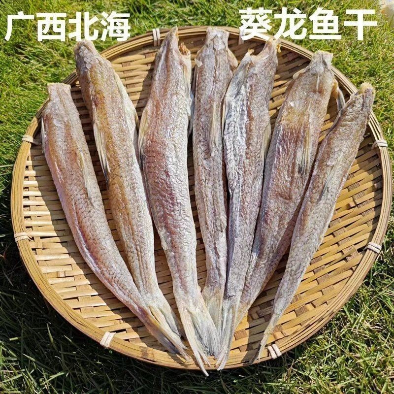 北海葵龍魚是什么魚種圖片